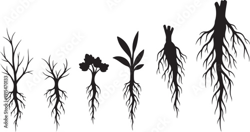 Silhouettes of various plant roots and stems