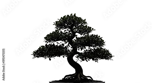 Elegant Black Bonsai Tree with Twisted Trunk and Lush Foliage.