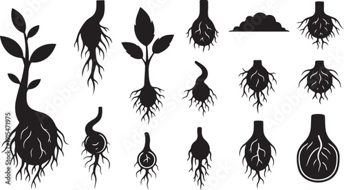 Various Plant Roots and Silhouettes in Black