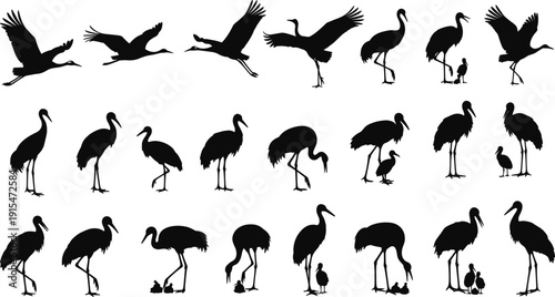 Collection of black crane and heron silhouettes in various standing and flying poses for wetland nature wildlife and bird migration,