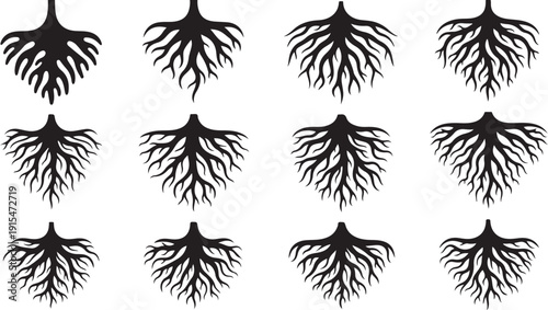 Set of black root system silhouettes on white