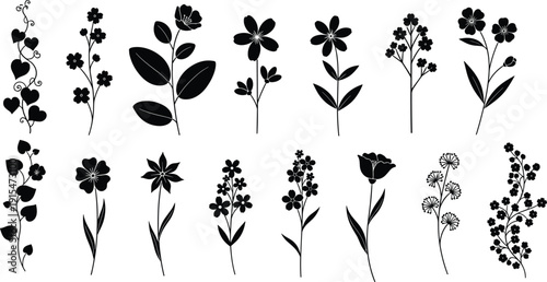Collection of black flower silhouettes and floral sprig icons for garden nature wedding invitation herbal medicine and botanical vector designs,