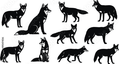 Collection of black fox silhouettes in various poses including sitting standing and walking for wildlife nature forest and predator designs,