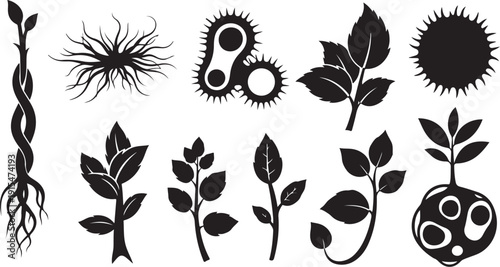Black silhouettes of various plant growth stages and types