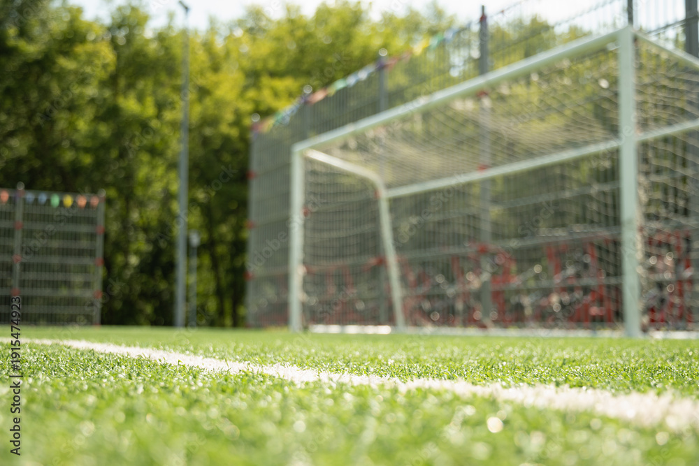 Fototapeta premium Football field with goal and grass background