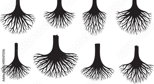 Black silhouettes of tree roots on white background illustration