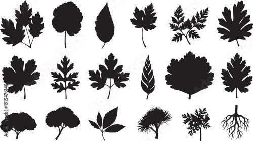 Collection of various leaf silhouettes on white background