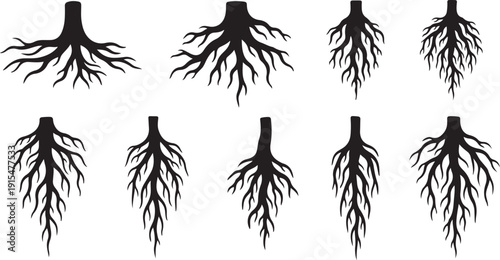 Set of black root system silhouettes on white background