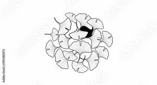 A stylized cluster of fan-shaped leaves, outlined in black with fine grey veins