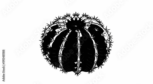A striking black and white sketch of a spiky, round, ribbed cactus with sharp needles