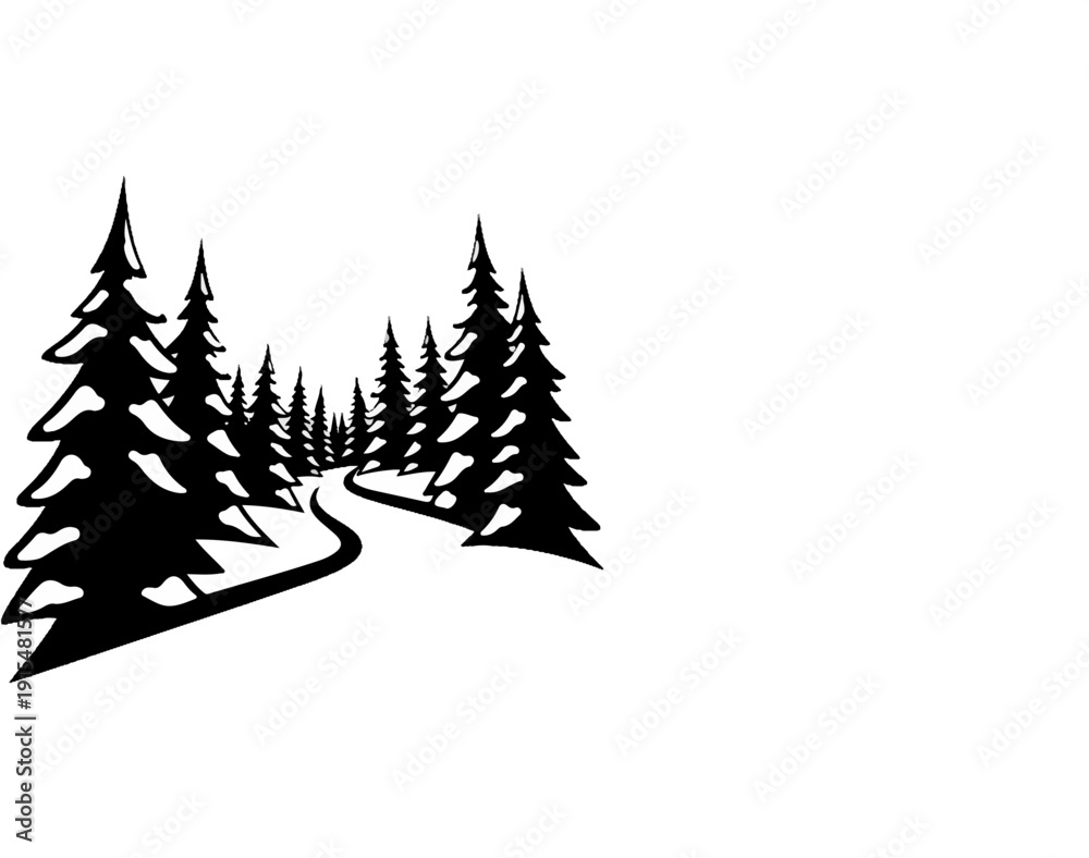 Fototapeta premium A winding path through a dark forest of pine trees
