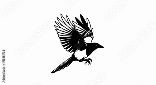 A stylized black and white silhouette of a magpie in mid-flight