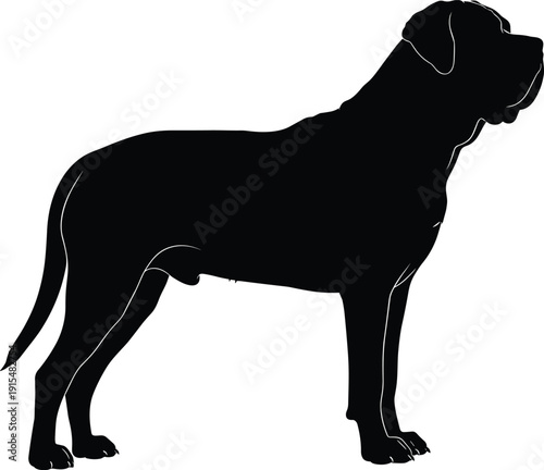 Black silhouette of a large Bullmastiff dog standing in profile isolated on white background, powerful purebred canine vector illustration graphic.