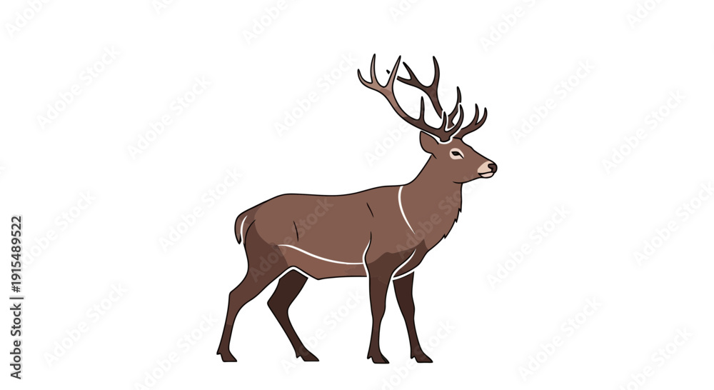Obraz premium Majestic brown deer with large antlers standing gracefully.