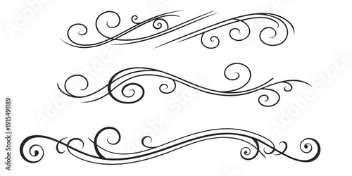 Intricate swirls and flourishes in elegant black and white design patterns Vector