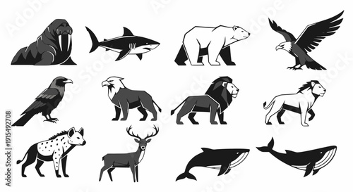 Black and White Predator Animal Silhouette Icon Set – Walrus, Shark, Polar Bear, Eagle, Lion, Hyena, Deer, Whale Vector Collection