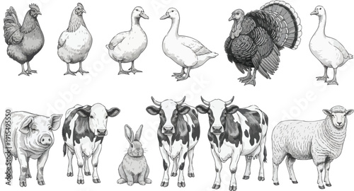A black and white illustration of various farm animals including chickens, ducks, turkeys, pigs, cows, rabbits, and sheep.