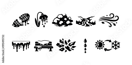 Animal, wildlife silhouette icon set. Nature, animal conservation icons collection