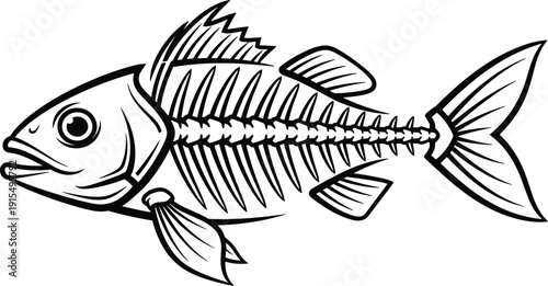 Black and white of a fish with visible skeleton bones 1