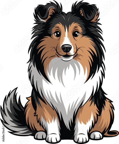 Cute cartoon a illustrator vector shetland sheepdog