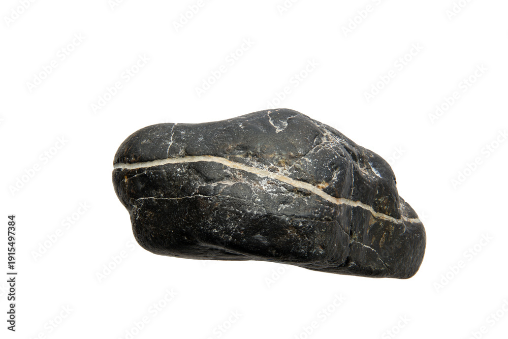 Obraz premium Smooth black river rock with white stripe cutout