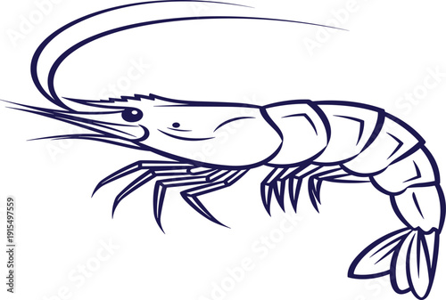 Blue line of a shrimp with detailed body segments and antennae