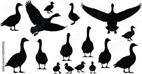 Duck and Goose Silhouette Collection Featuring Waterfowl in Various Poses for Nature Conservation Hunting Sports Wildlife Vector Illustration and Outdoor Design