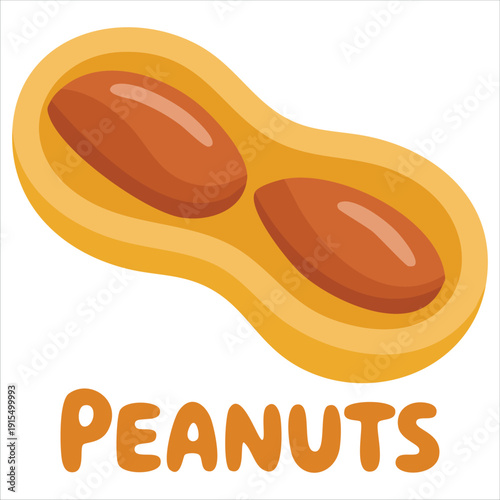 Peanuts graphic with peeled and unpeeled nuts vector illustration
