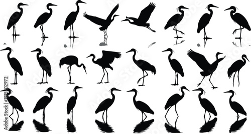 Heron and Crane Silhouette Collection Featuring Wading Birds in Standing and Flying Poses for Coastal Nature Wildlife Vector Illustration Set