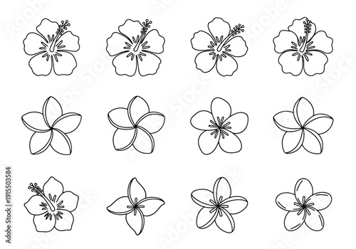 Collection of Tropical Floral Outline Shapes for Decorative Design Elements and Botanical Art Projects