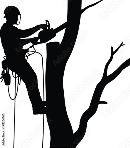 Silhouette of professional arborist cutting tree branch with chainsaw while secured by rope harness, depicting safe tree trimming, forestry work, and outdoor maintenance services.