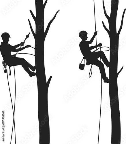 Silhouette of professional arborists climbing tall trees with rope harness and safety equipment, performing tree trimming and pruning work for forestry and maintenance services.