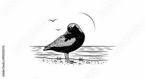 Black and white drawing of a shorebird at the water's edge with birds flying above