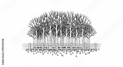 Bare trees form a dense canopy above a rustic wooden fence and fallen leaves