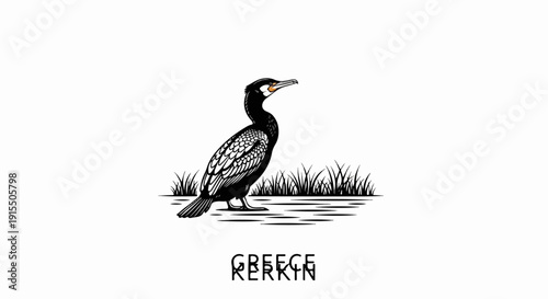 Black and white illustration of a cormorant bird on water with grass