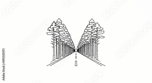 An illustrated vanishing point perspective of a road lined with tall trees