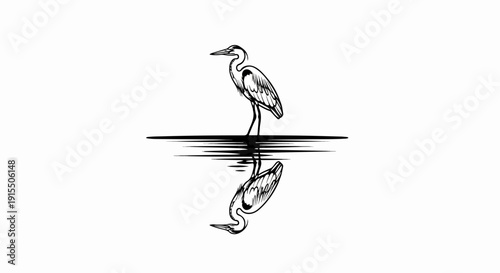 Black and white line drawing of a heron standing in water with reflection