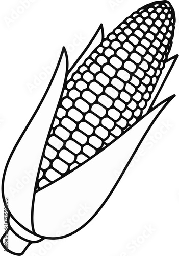 An outline drawing of a single ear of corn with husks