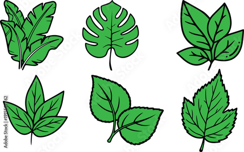 A collection of six different green leaf styles in a clean, bold line art vector format, featuring popular plant species like Monstera and Banana leaves.