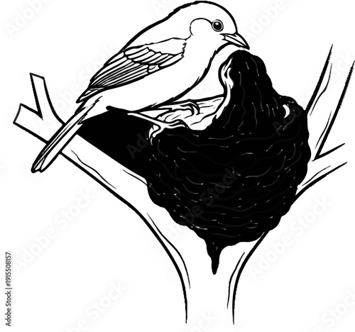 Bird feeding chick in a nest on a tree branch