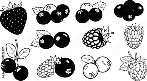Assortment of stylized berries including strawberries, blueberries, raspberries, and blackberries