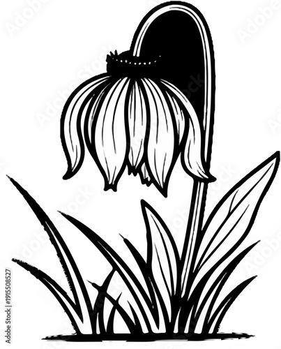 Black and white illustration of a drooping flower with petals