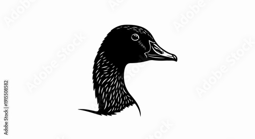 Black and white illustration of a duck's head and neck
