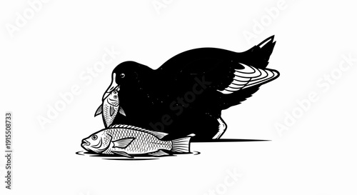 Black bird holding fish in beak, another fish below