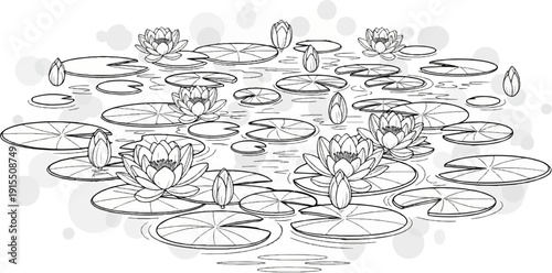 Black and white illustration of water lilies floating on water