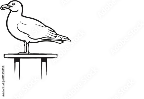 Black and white line drawing of a seagull standing on a perch