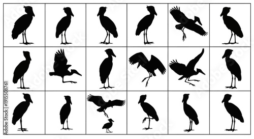 Collection of black bird silhouettes in various poses and movements on white background for design and decoration