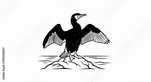 Black bird with outstretched wings perches on rocks near water