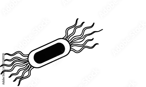 Black and white illustration of a bacillus bacterium with flagella
