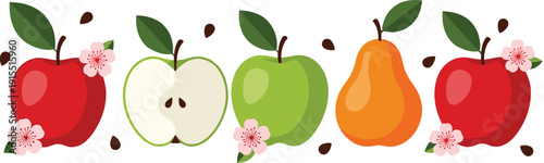 Flat Vector Apple and Pear Collection, Fresh Orchard Fruit Set with Red and Green Apples, Pear, and Blossoms Isolated on White